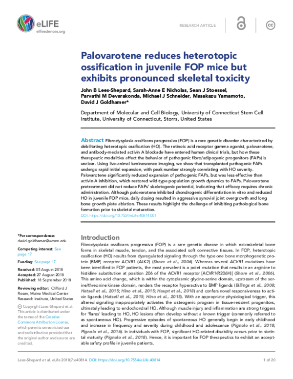 (PDF) Palovarotene reduces heterotopic ossification in juvenile FOP ...
