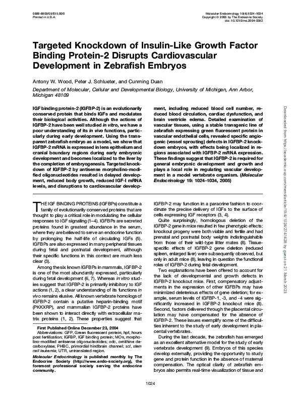 (PDF) Targeted Knockdown of Insulin-Like Growth Factor Binding Protein ...