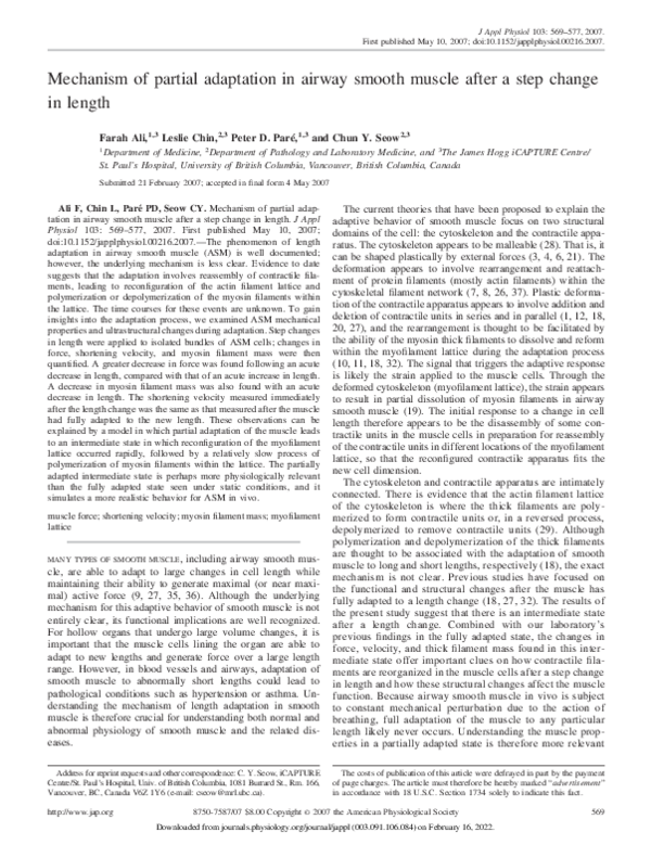 (PDF) Airway Smooth Muscle Length Adaptation Mechanism