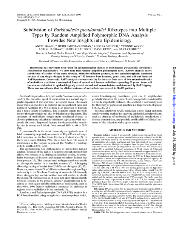 (PDF) Subdivision of Burkholderia pseudomallei ribotypes into multiple ...