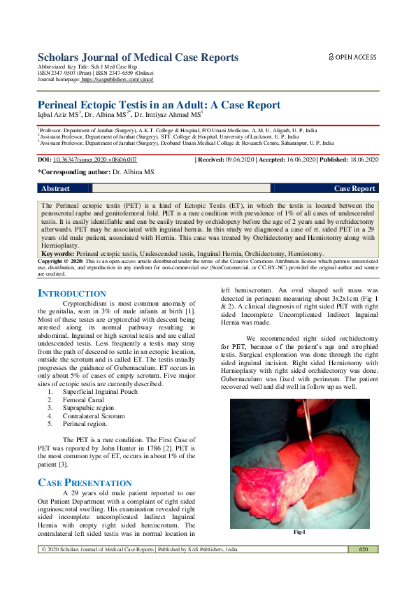 (PDF) Perineal Ectopic Testis in an Adult A Case Report