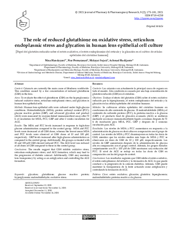 (PDF) The role of reduced glutathione on oxidative stress, reticulum ...