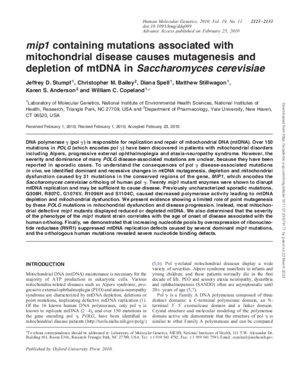 (PDF) mip1 containing mutations associated with mitochondrial disease ...