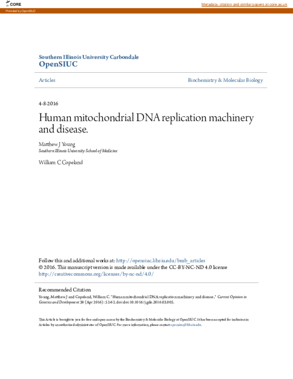 (PDF) Human mitochondrial DNA replication machinery and disease