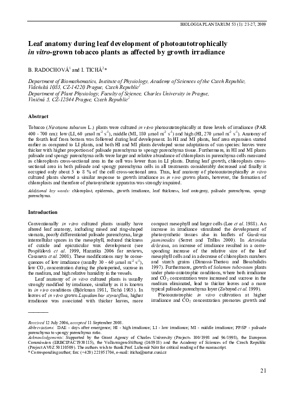 (PDF) Leaf anatomy during leaf development of photoautotrophically in ...