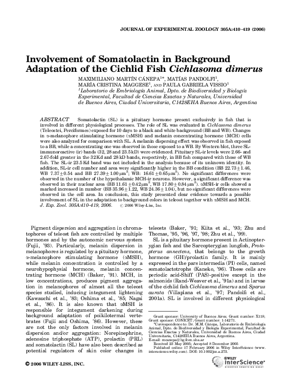 (PDF) Involvement of somatolactin in background adaptation of the ...