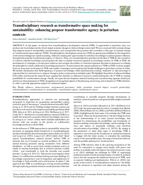 (PDF) Transdisciplinary research as transformative space making for ...