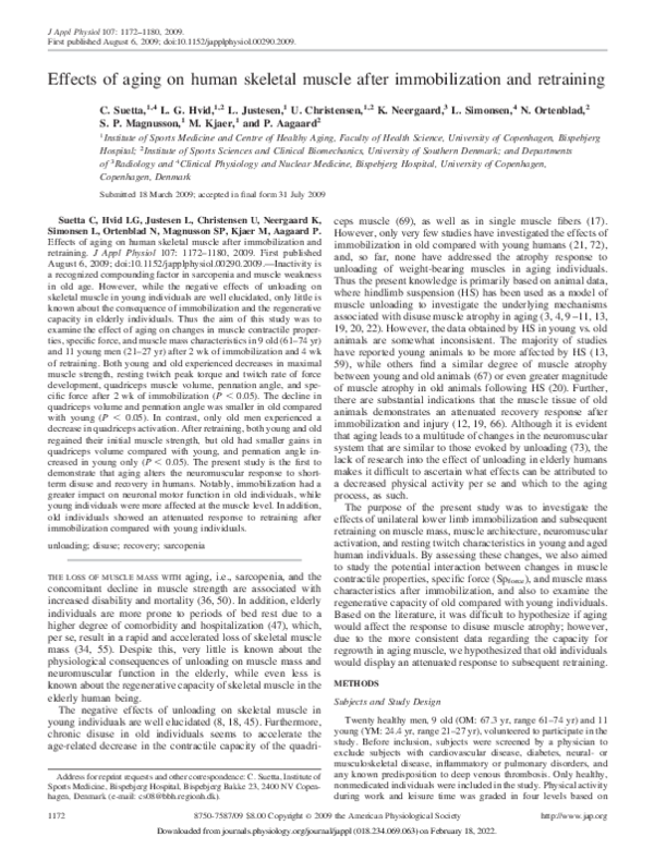 (PDF) Effects of aging on human skeletal muscle after immobilization ...