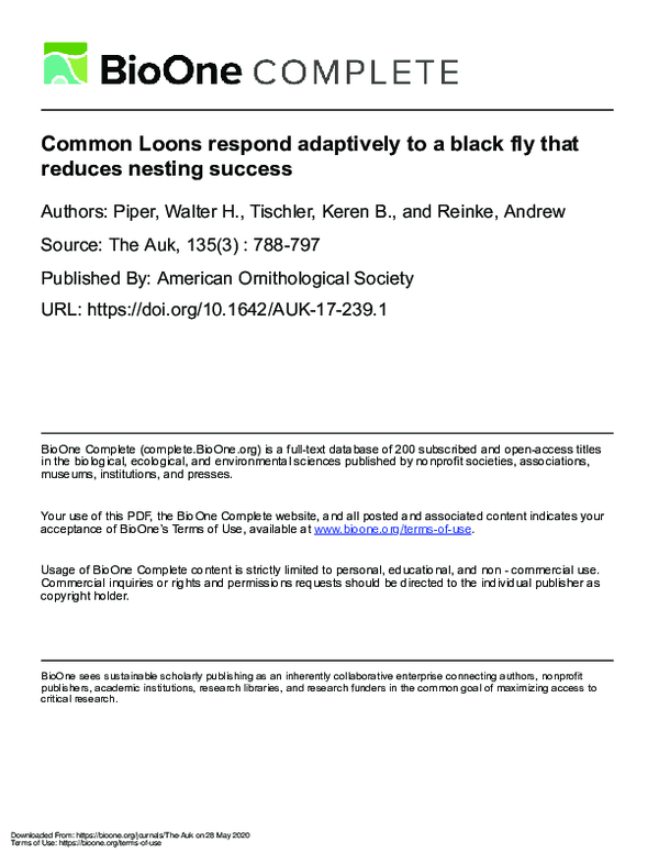 (PDF) Common Loons respond adaptively to a black fly that reduces ...
