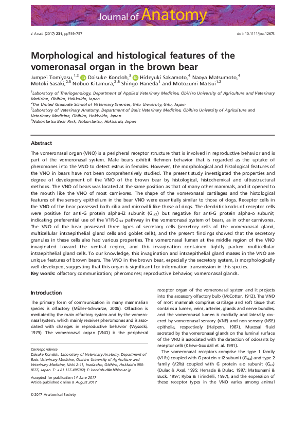(PDF) Morphological and histological features of the vomeronasal organ ...