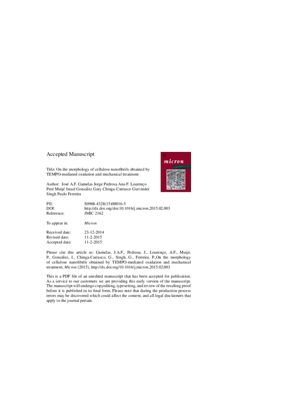 (PDF) On the morphology of cellulose nanofibrils obtained by TEMPO ...