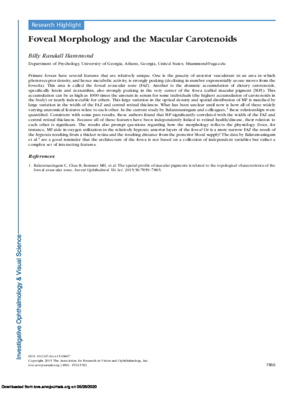 (PDF) Foveal Morphology and the Macular Carotenoids