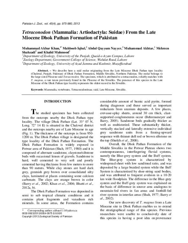 (PDF) Tetraconodon (Mammalia: Artiodactyla: Suidae) From the Late ...