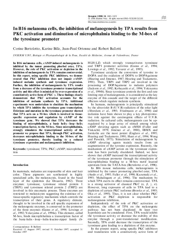 (PDF) In B16 melanoma cells, the inhibition of melanogenesis by TPA ...