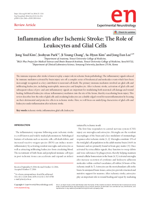 (PDF) Inflammation after Ischemic Stroke: The Role of Leukocytes and ...