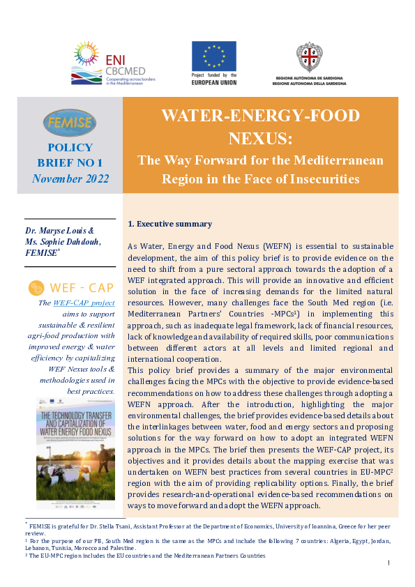 (PDF) WATER ENERGY FOOD NEXUS The Way Forward