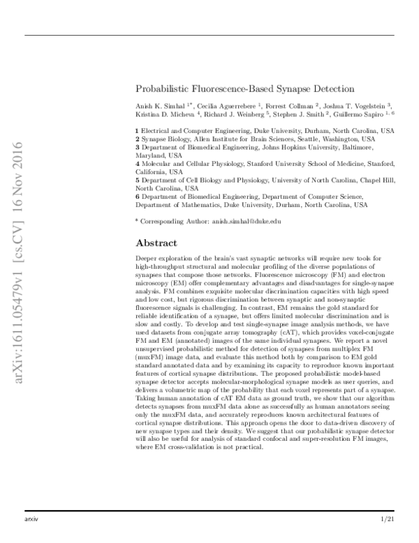 (PDF) Probabilistic fluorescencebased synapse detection Stephen