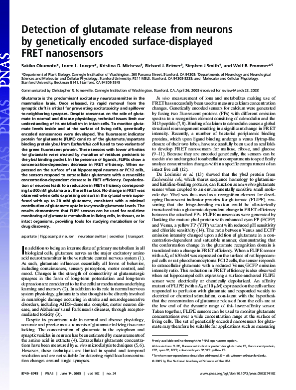 (PDF) Detection of glutamate release from neurons by genetically ...