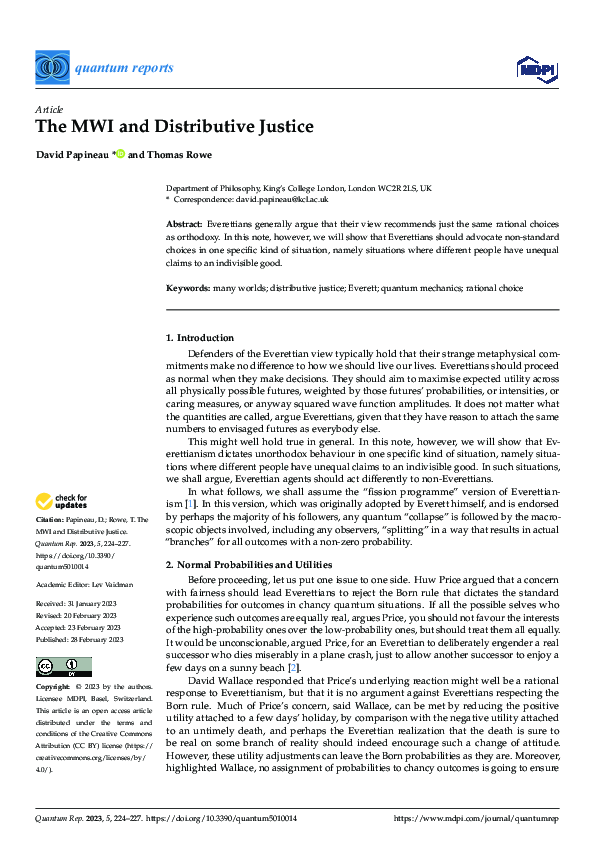 (PDF) The MWI and Distributive Justice