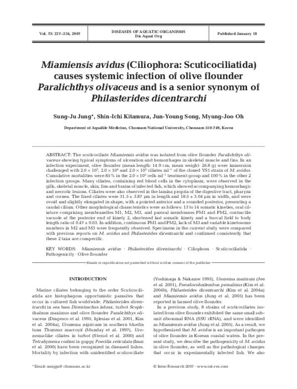 (PDF) Miamiensis avidus (Ciliophora Scuticociliatida) causes systemic