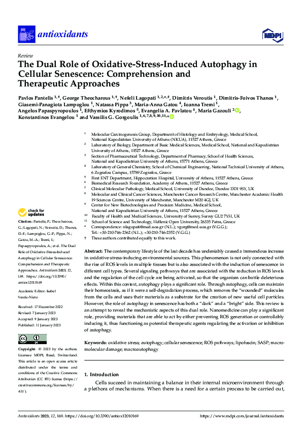 (PDF) The Dual Role of Oxidative-Stress-Induced Autophagy in Cellular ...