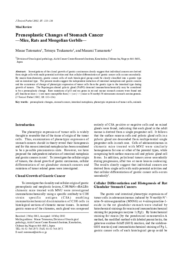(PDF) Preneoplastic Changes of Stomach Cancer