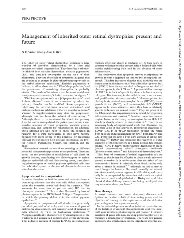 (PDF) Management of inherited outer retinal dystrophies: present and future