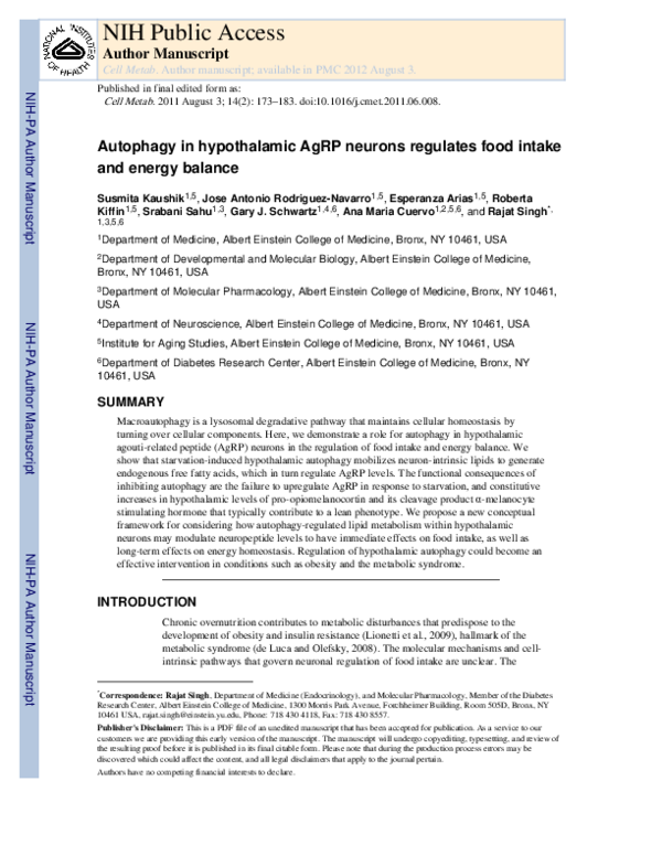 (PDF) Autophagy in Hypothalamic AgRP Neurons Regulates Food Intake and ...