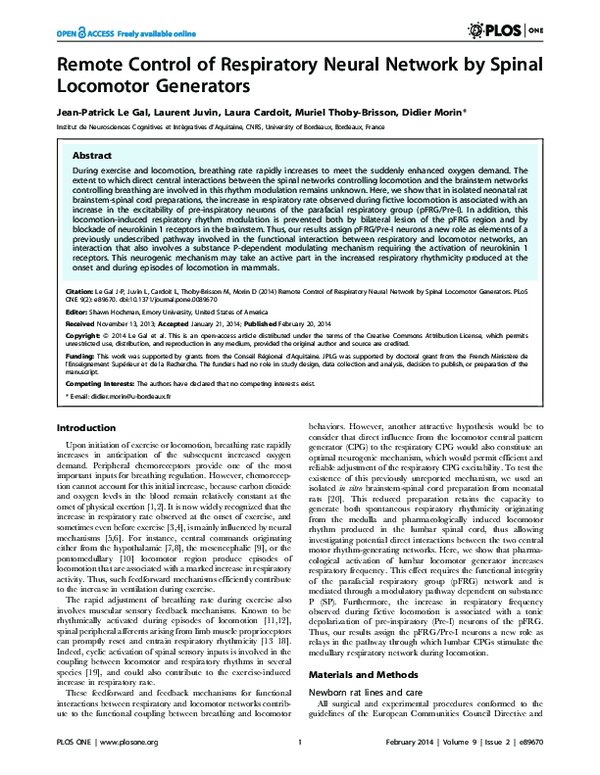 (PDF) Remote Control of Respiratory Neural Network by Spinal Locomotor ...