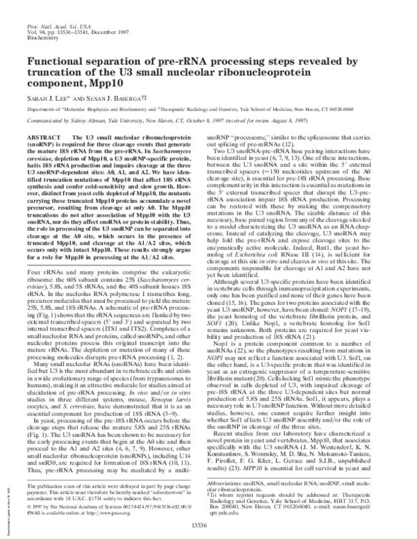 (PDF) Functional separation of pre-rRNA processing steps revealed by ...