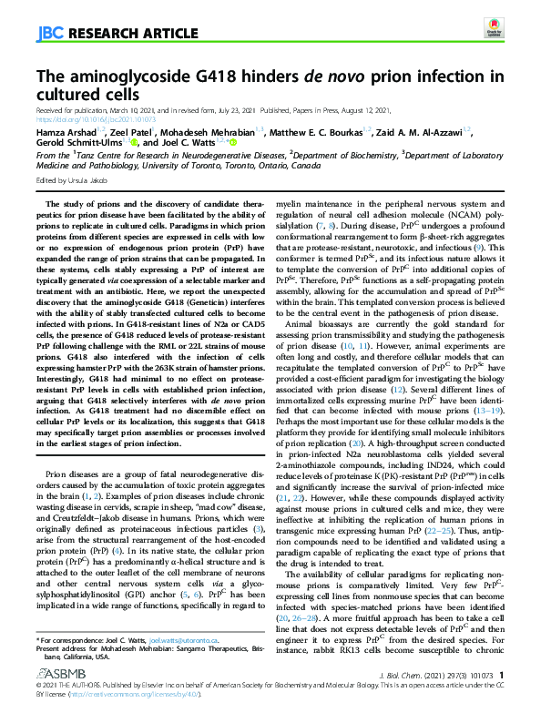 (PDF) The aminoglycoside G418 hinders de novo prion infection in ...