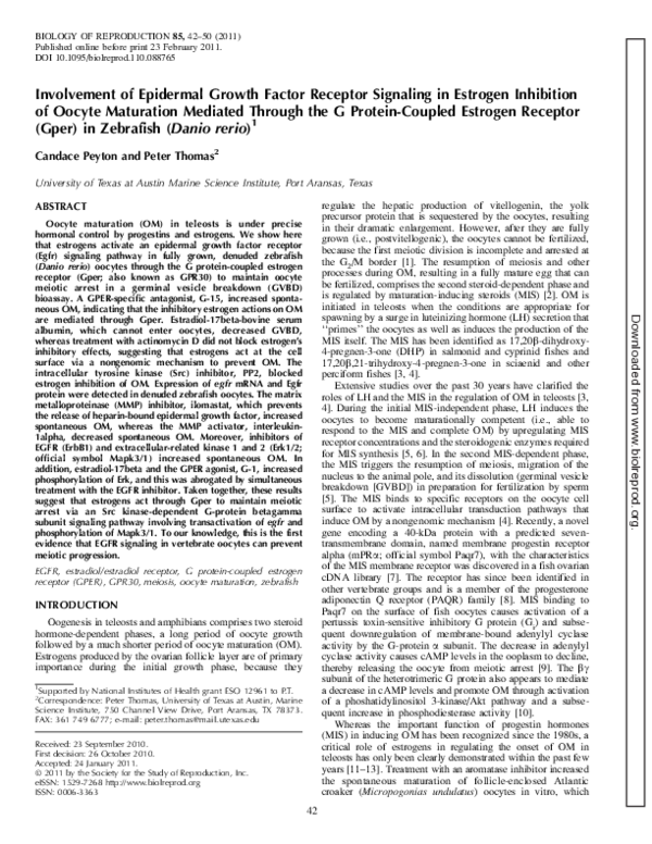 (PDF) Involvement of Epidermal Growth Factor Receptor Signaling in ...