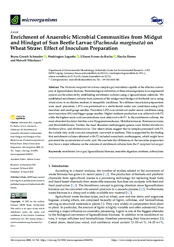 (PDF) Enrichment of Anaerobic Microbial Communities from Midgut and ...