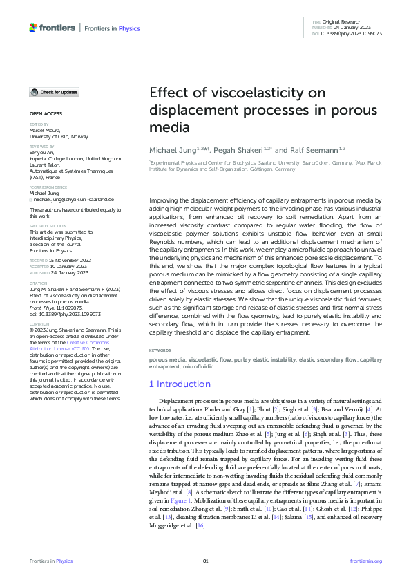 (PDF) Effect of viscoelasticity on displacement processes in porous media