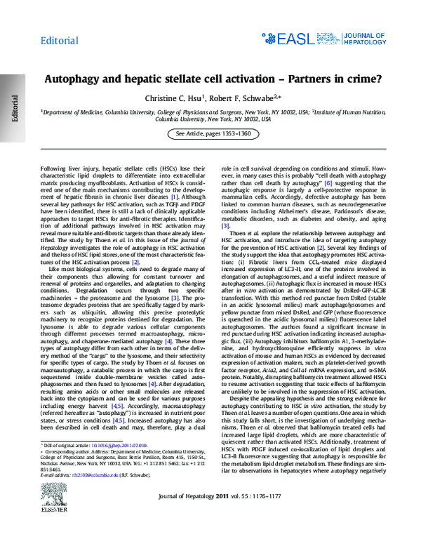 (PDF) A role for autophagy during hepatic stellate cell activation