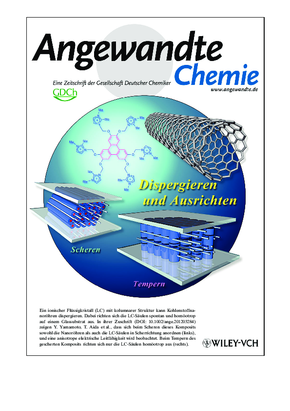 Rücktitelbild: Electrochemical Milling and Faceting: Size Reduction and Catalytic Activation of Palladium Nanoparticles (Angew. Chem. 34/2012)