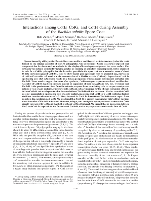 (PDF) Interactions among CotB, CotG, and CotH during Assembly of the ...