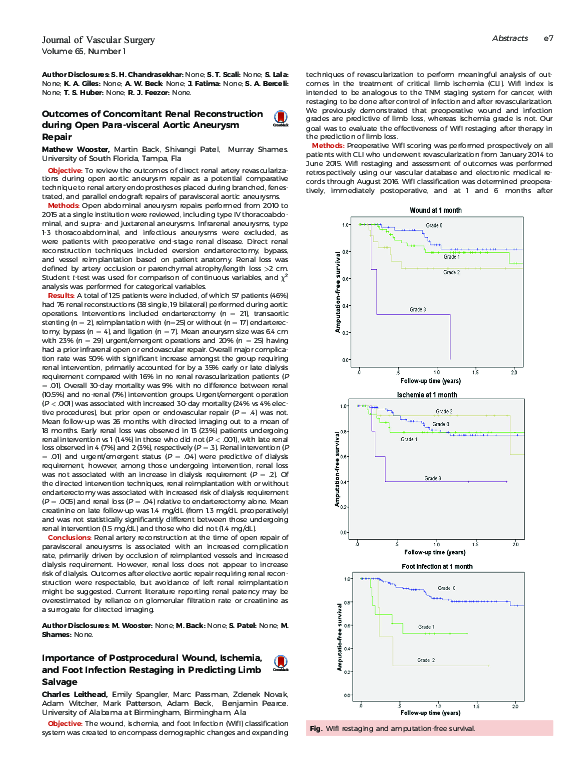 (PDF) Importance of Postprocedural Wound, Ischemia, and Foot Infection ...