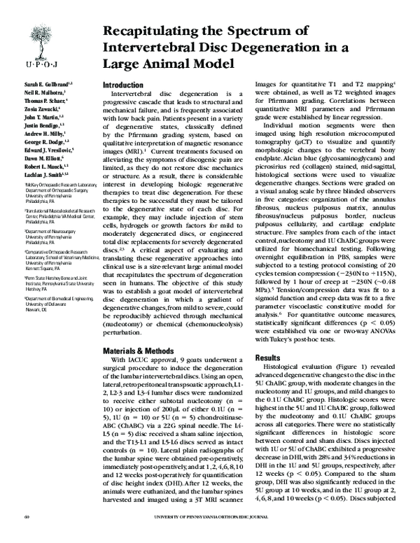 (PDF) Recapitulating the Spectrum of Intervertebral Disc Degeneration ...