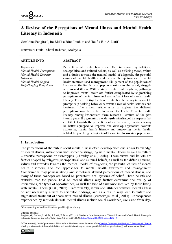 (PDF) A Review of the Perceptions of Mental Illness and Mental Health ...