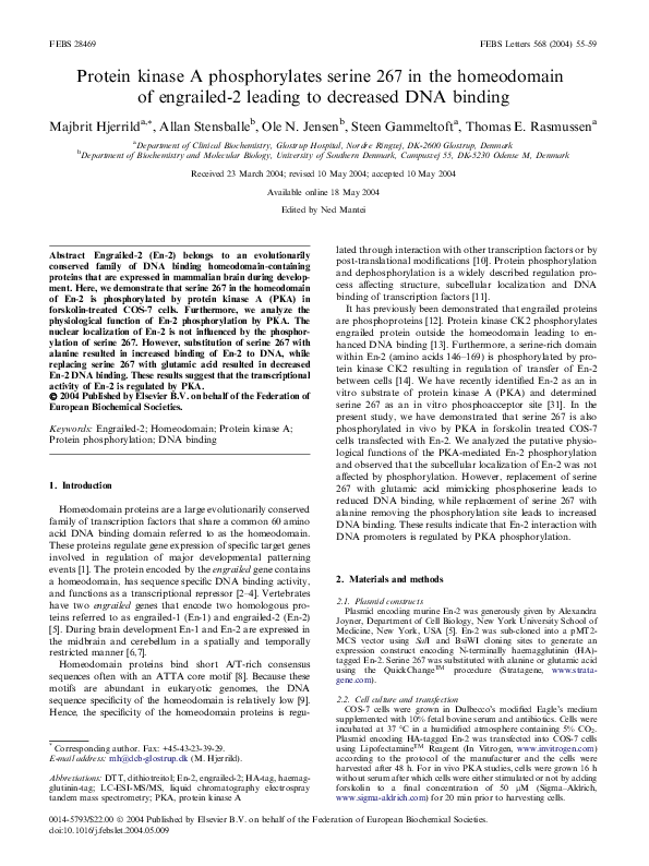 (PDF) Protein kinase A phosphorylates serine 267 in the homeodomain of ...