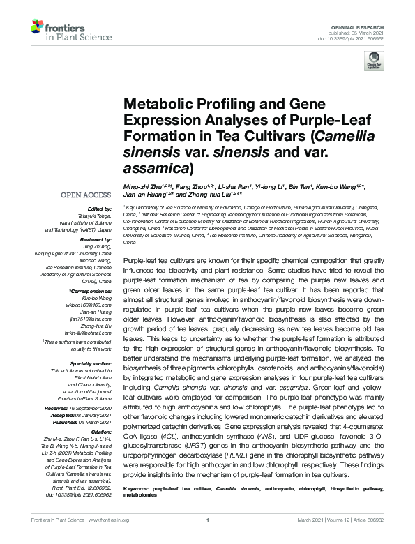 (PDF) Metabolic Profiling and Gene Expression Analyses of Purple-Leaf ...
