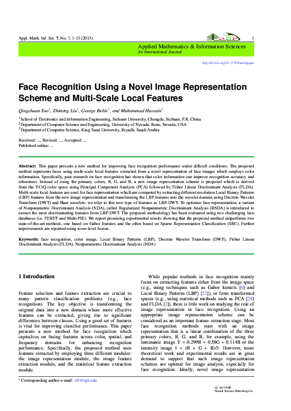 (PDF) Face recognition using a novel image representation scheme and ...