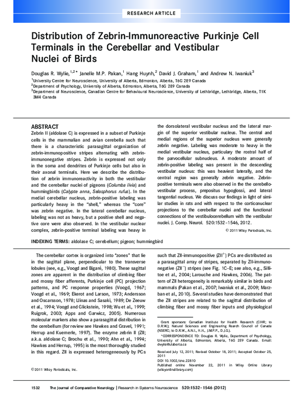 (PDF) Distribution of zebrin-immunoreactive Purkinje cell terminals in ...
