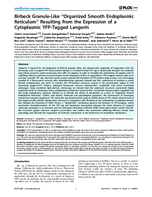 (PDF) Birbeck Granule-Like “Organized Smooth Endoplasmic Reticulum ...
