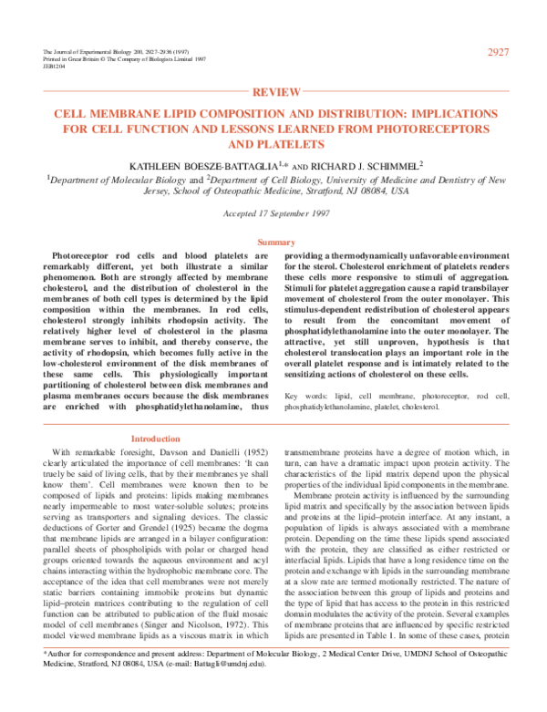 (PDF) Cell Membrane Lipid Composition and Distribution: Implications ...