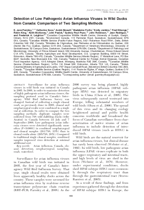(PDF) Detection of Low Pathogenic Avian Influenza Viruses in Wild Ducks ...