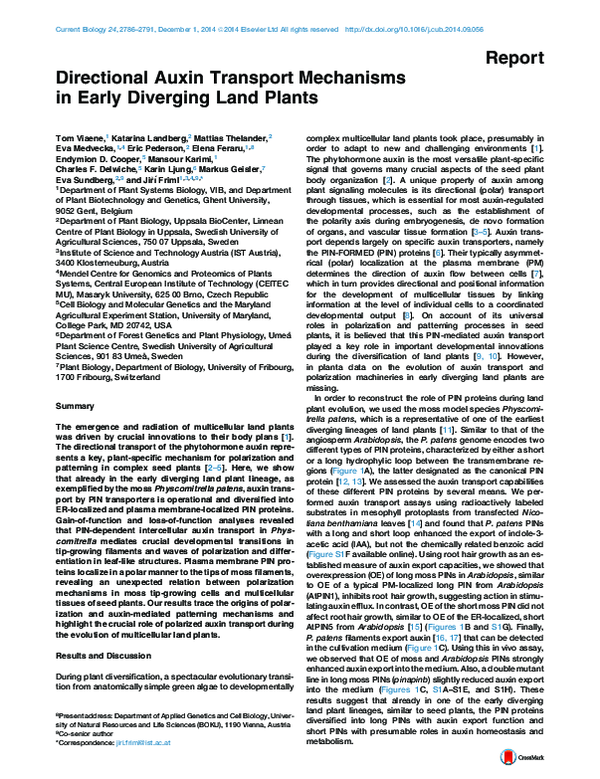 (PDF) Directional Auxin Transport Mechanisms in Early Diverging Land Plants