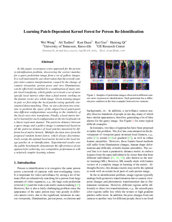 (PDF) Learning patch-dependent kernel forest for person re-identification
