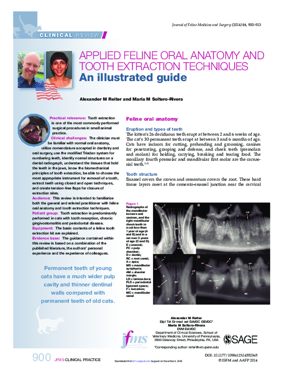 (PDF) Applied feline oral anatomy and tooth ex 1